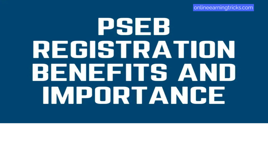 How do you register as a freelancer with the Pakistan Software Export Board (PSEB) 2024