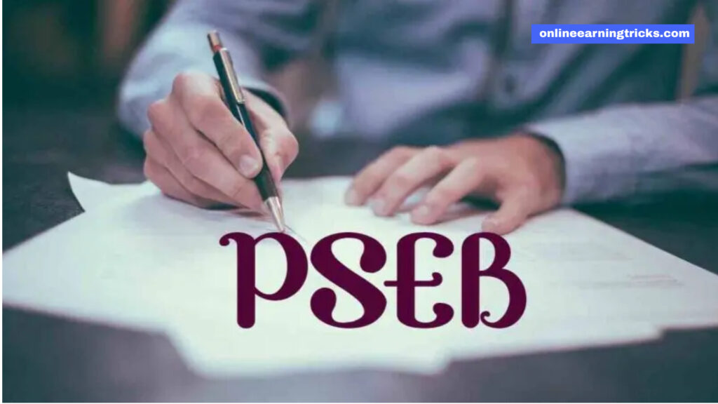 How do you register as a freelancer with the Pakistan Software Export Board (PSEB) 2024